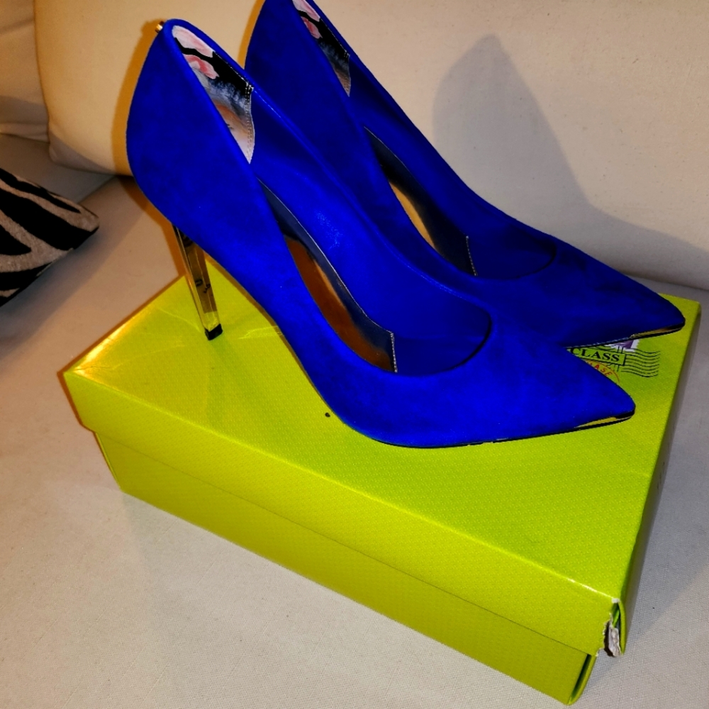 Ted Baker Elvena Blue Suede Pointed Pump